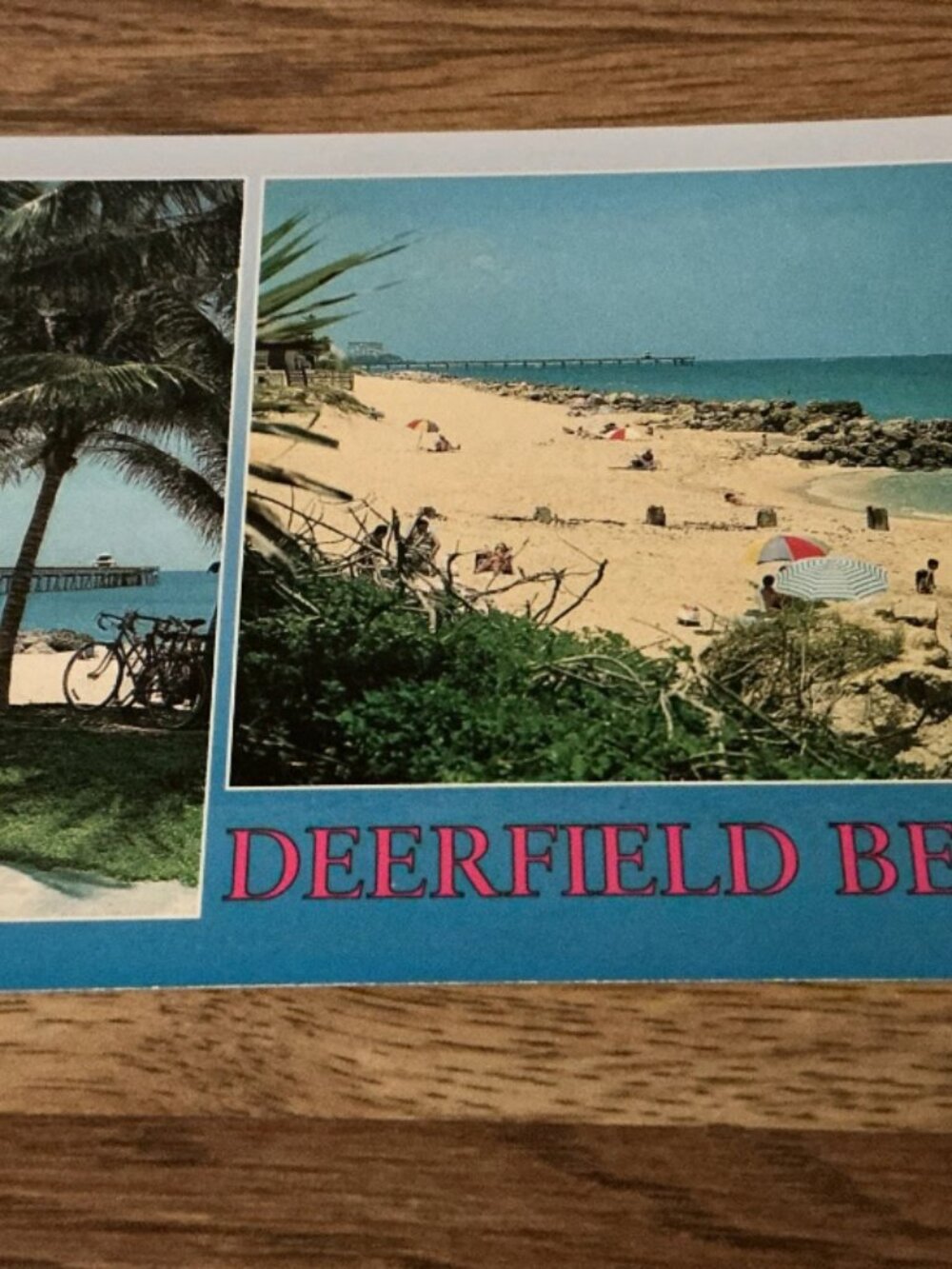 Deerfield Beach New Fishing Pier Palm Trees Vintage Postcard Florida